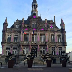 French cities join World IBD Day campaign French cities join World IBD Day campaign